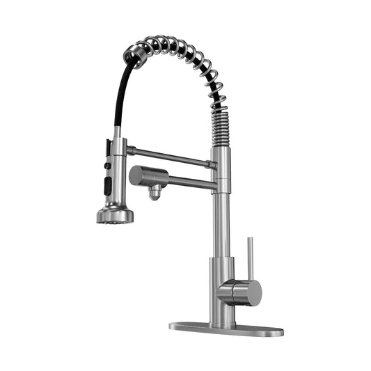 MONDAWE Faucet with Water Purification Spout Single Handle Pre-rinse Kitchen Faucet with Pull Down Sprayer